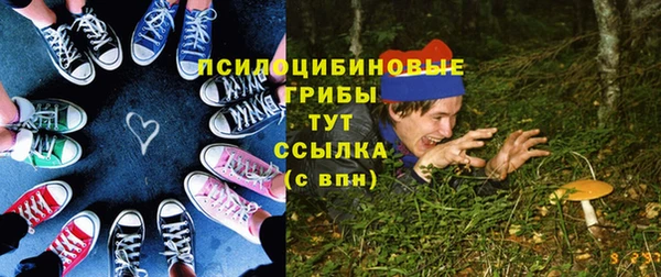 прущие крисы Козловка