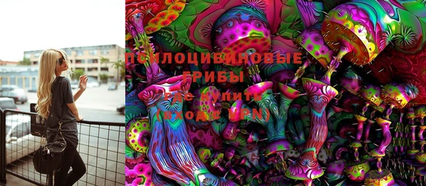 стаф Кинешма