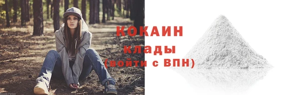 стаф Кинешма